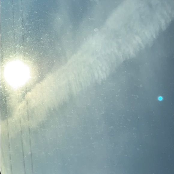 Meet your Posher, Dante - Picture 1 of 1